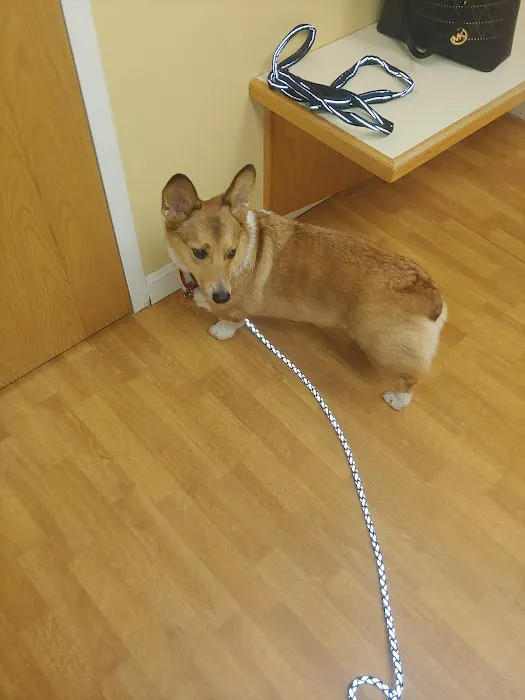 Central Park Veterinary Clinic Picture 7