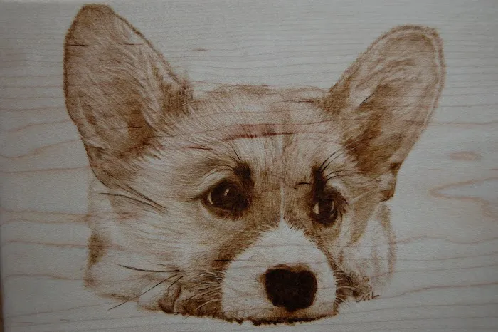 Lucky Pet Animal Hospital Picture 4