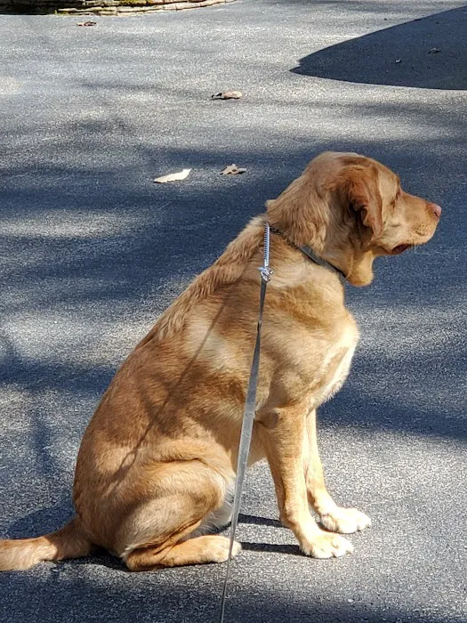 Lucky Pet Animal Hospital Picture 7
