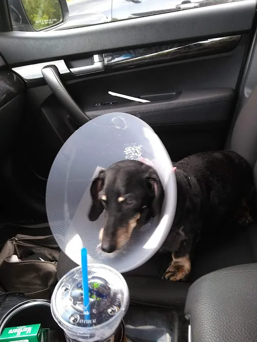 Lucky Pet Animal Hospital Picture 8