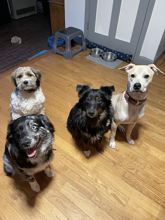Lucky Pet Animal Hospital Picture 10
