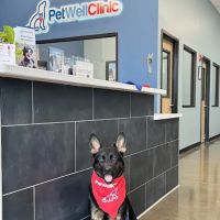 PetWellClinic - Somersworth ico