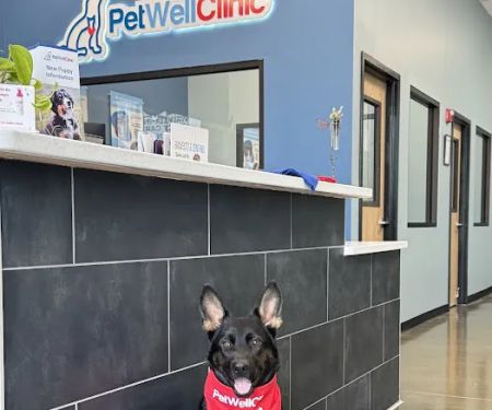 PetWellClinic - Somersworth