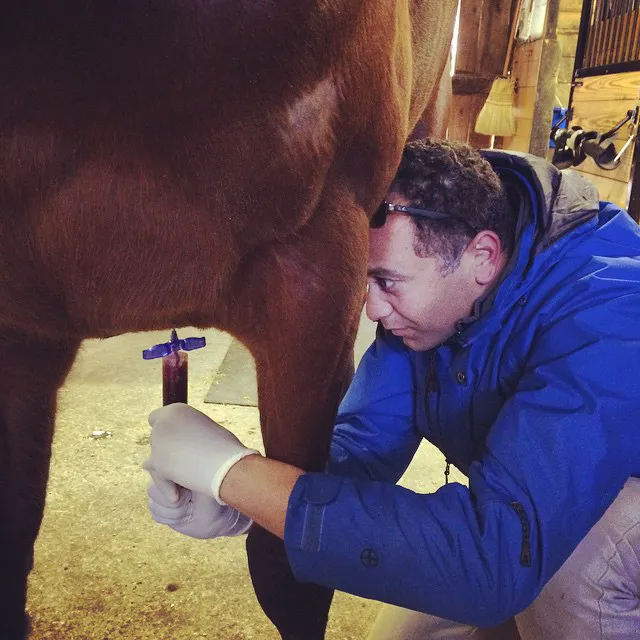 Atlantic Equine Services Picture 2