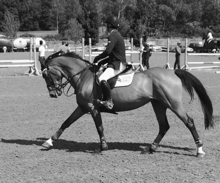 Atlantic Equine Services