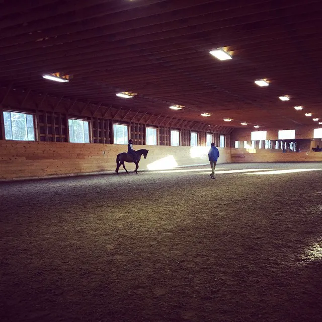 Atlantic Equine Services Picture 3