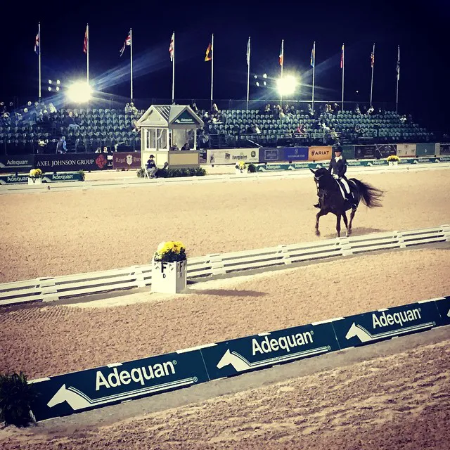 Atlantic Equine Services Picture 4