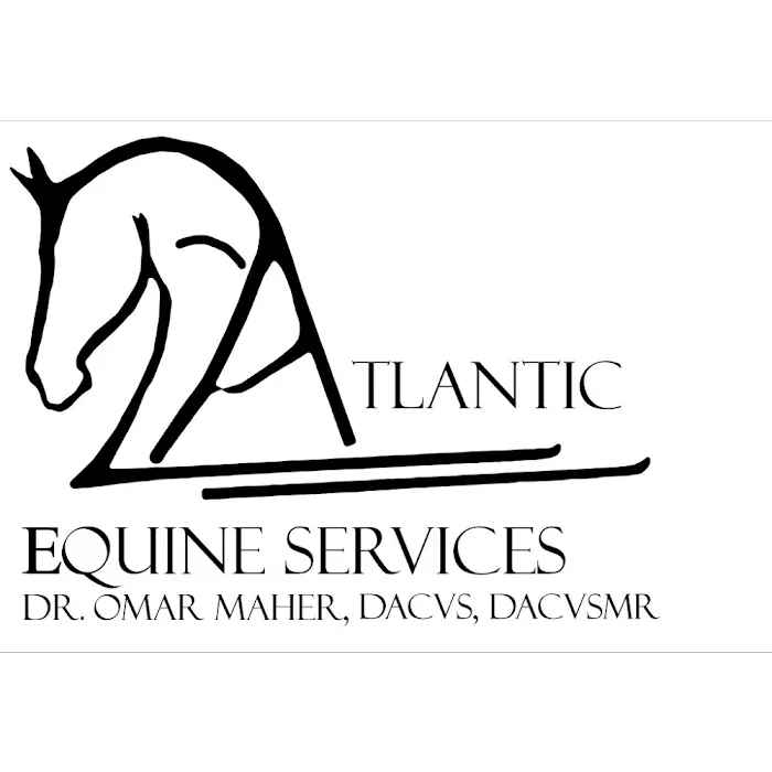 Atlantic Equine Services Picture 9