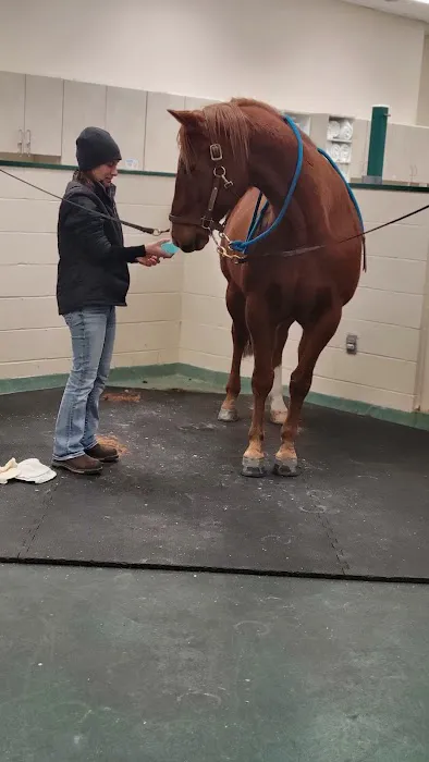 New England Equine Medical & Surgical center Picture 5