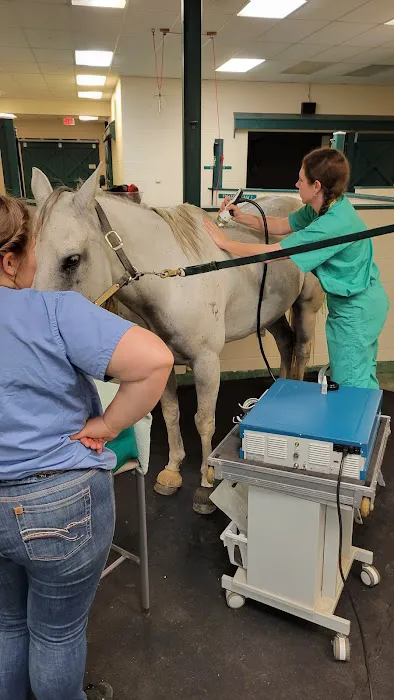 New England Equine Medical & Surgical center Picture 6