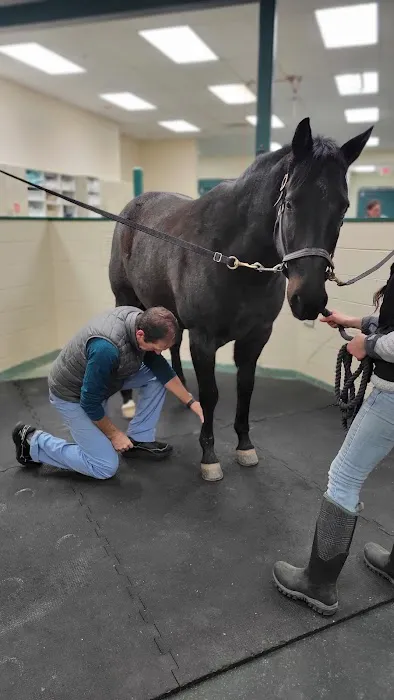 New England Equine Medical & Surgical center Picture 7