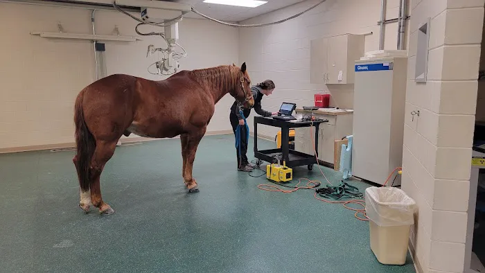 New England Equine Medical & Surgical center Picture 8