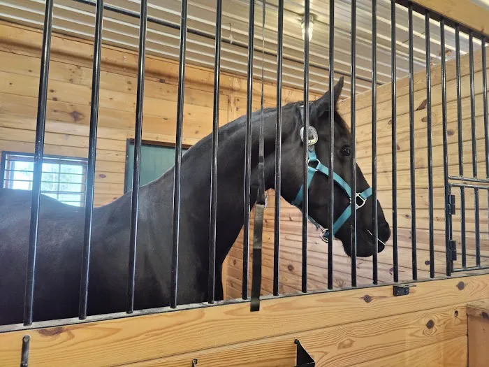 New England Equine Medical & Surgical center Picture 9
