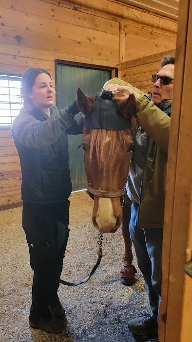 New England Equine Medical & Surgical center Picture 10