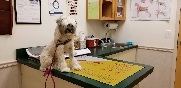 Great Bay Animal Hospital Picture 9