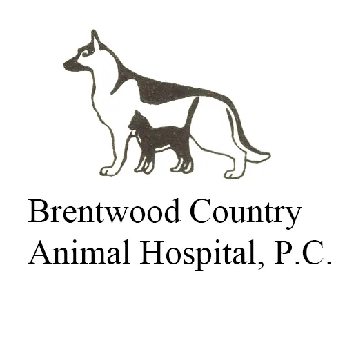 Brentwood Country Animal Hospital, PLLC Picture 7