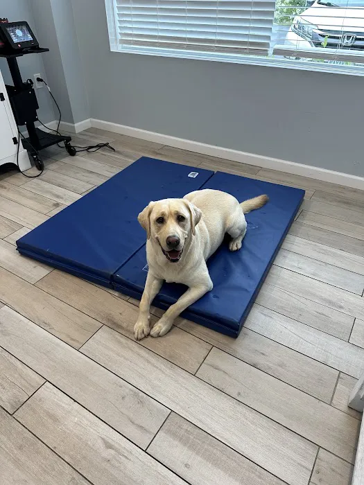 The Veterinary Wellness Center Picture 6