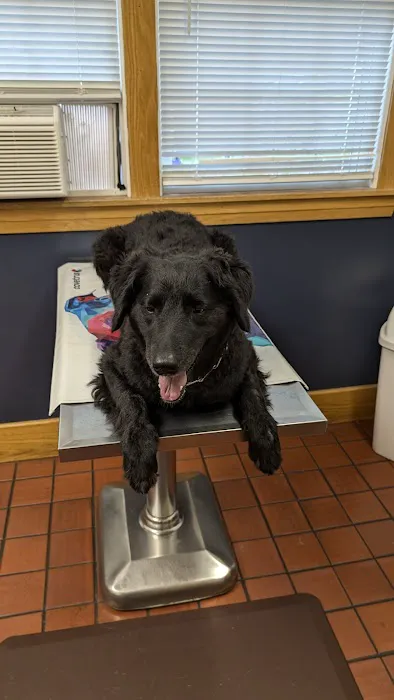 Naples Veterinary Clinic Picture 1