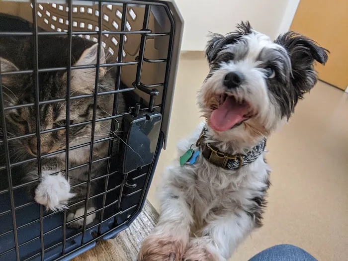 VCA Standish Animal Hospital Picture 3