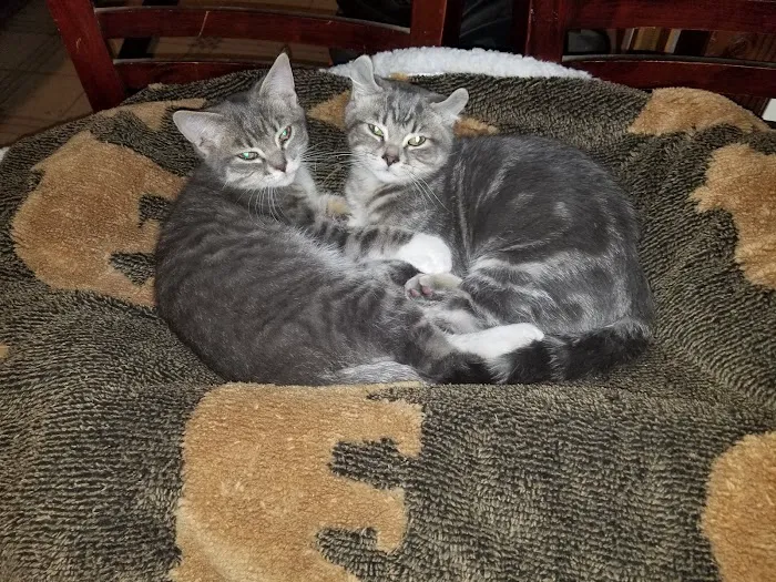 Jordan Bay Animal Hospital Picture 2