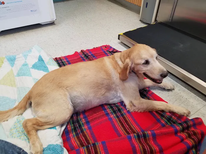 Jordan Bay Animal Hospital Picture 5