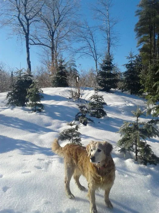 Jordan Bay Animal Hospital Picture 7