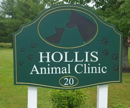 Hollis Animal Clinic - Thomas B Wesley DVM