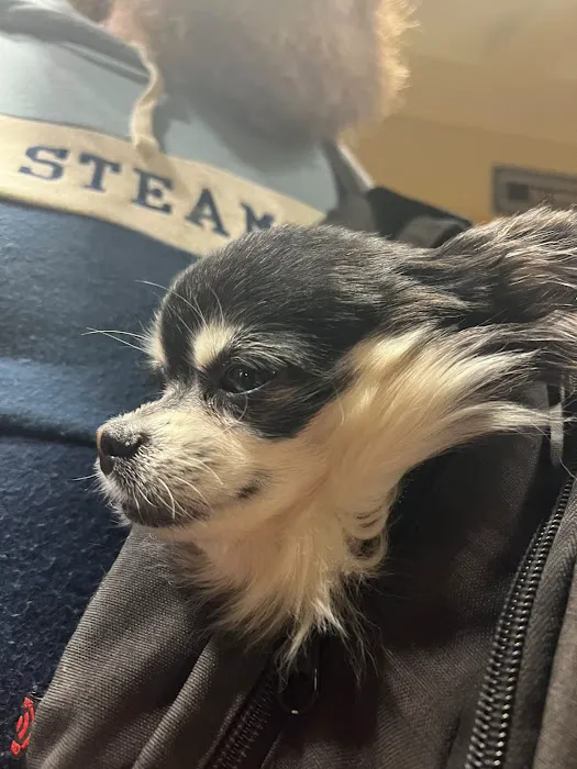 First Choice Animal Care and Surgery Center Picture 1