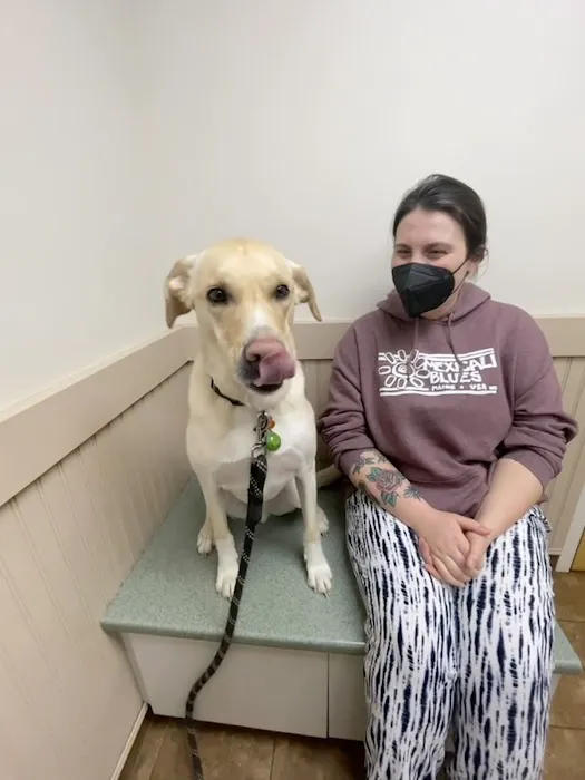 North Windham Veterinary Hospital Picture 10