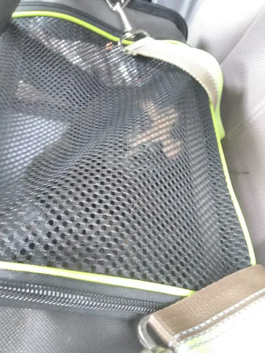 Lake Region Animal Hospital Picture 8