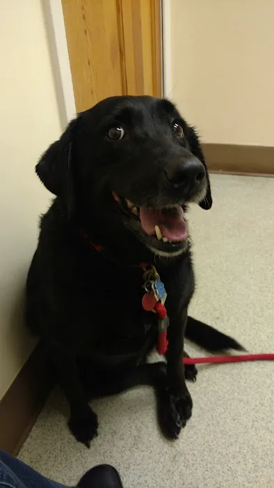 Lake Region Animal Hospital Picture 6