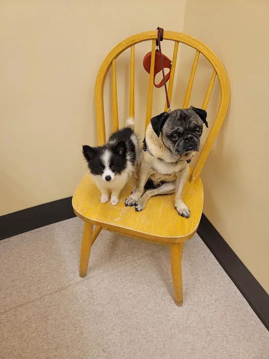 Lake Region Animal Hospital Picture 5