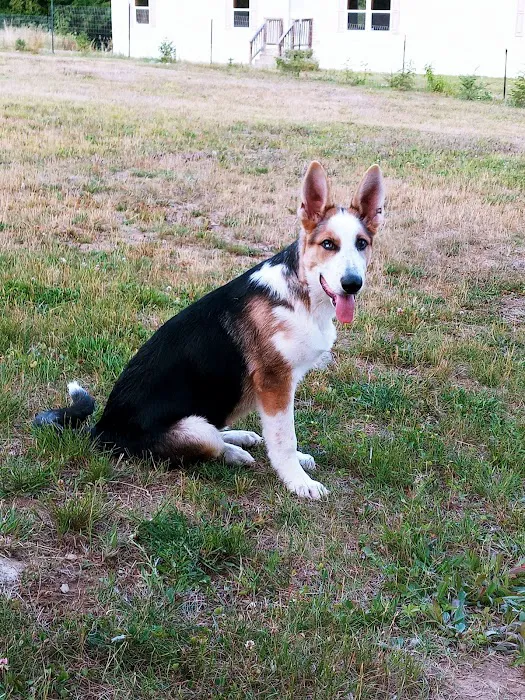 York County Veterinary Hospital Picture 7