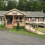 Well Point Veterinary Service