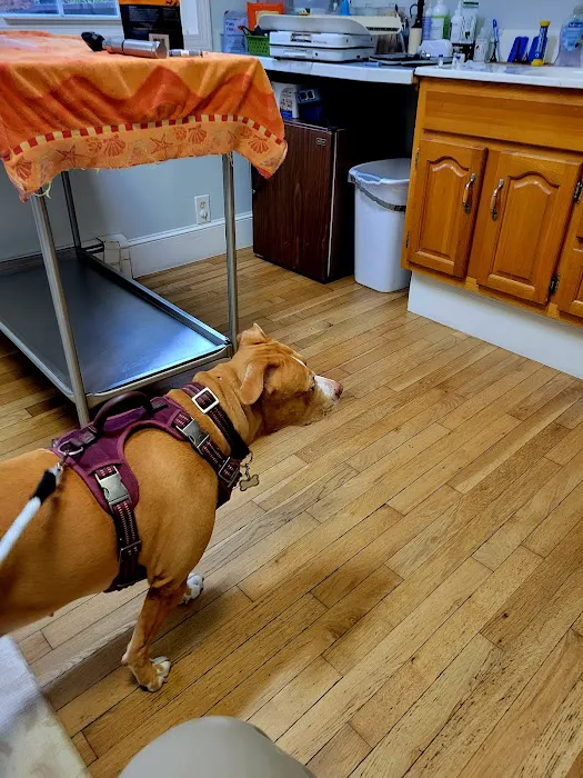 Well Point Veterinary Service Picture 2