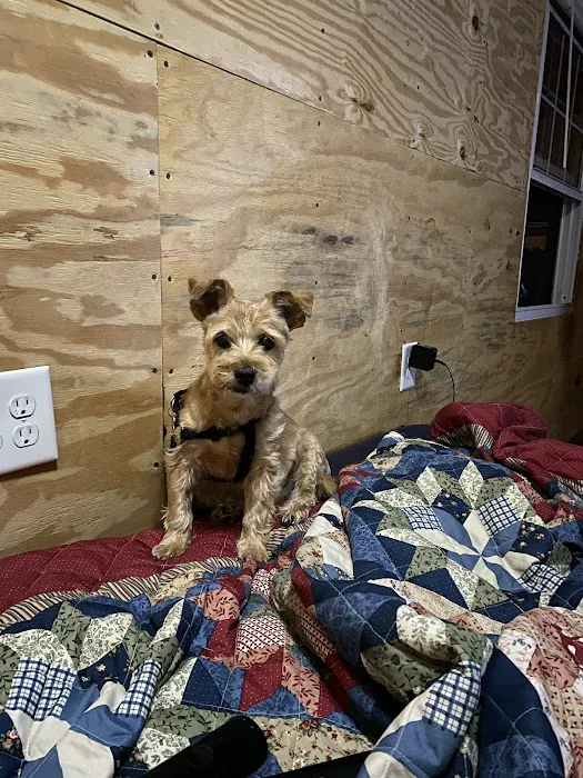 Oxford Hills Veterinary Hospital Picture 9