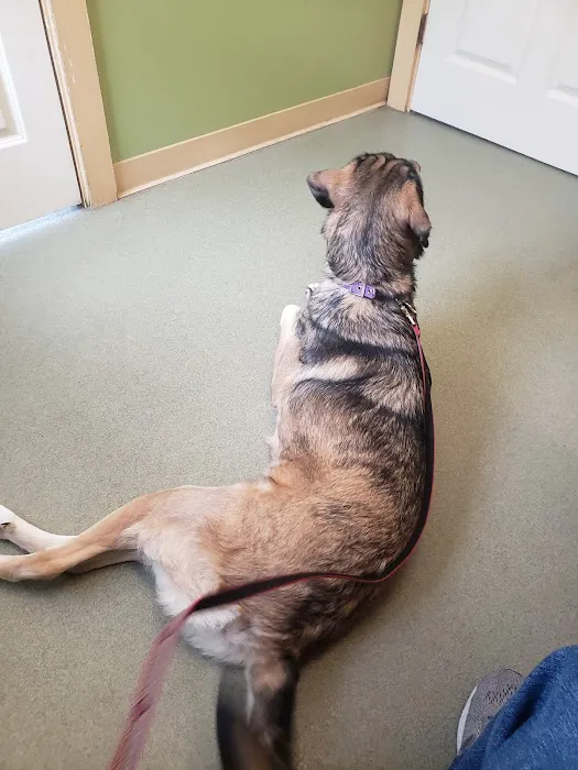 Poland Animal Hospital Picture 7