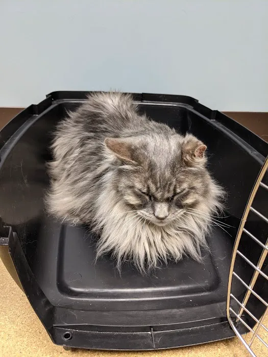 Mechanic Falls Veterinary Hospital Picture 1