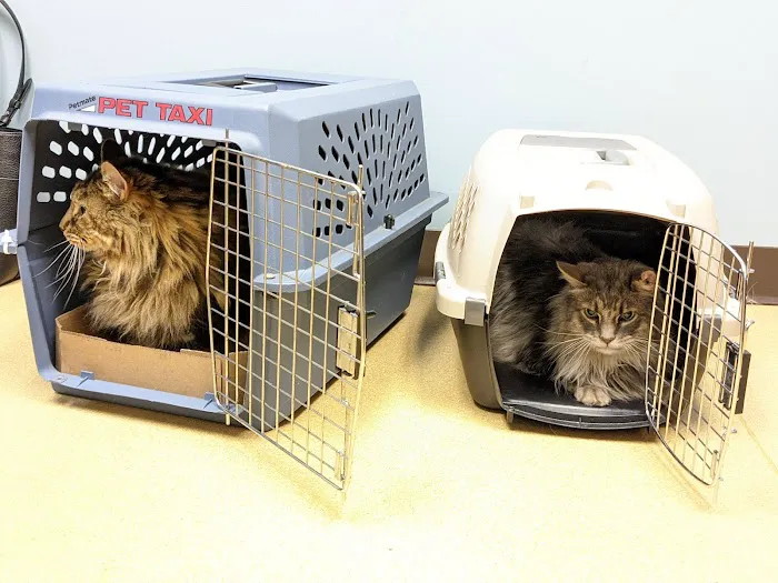 Mechanic Falls Veterinary Hospital Picture 3