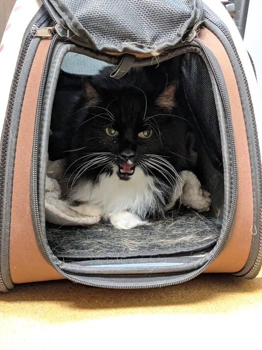 Mechanic Falls Veterinary Hospital Picture 2