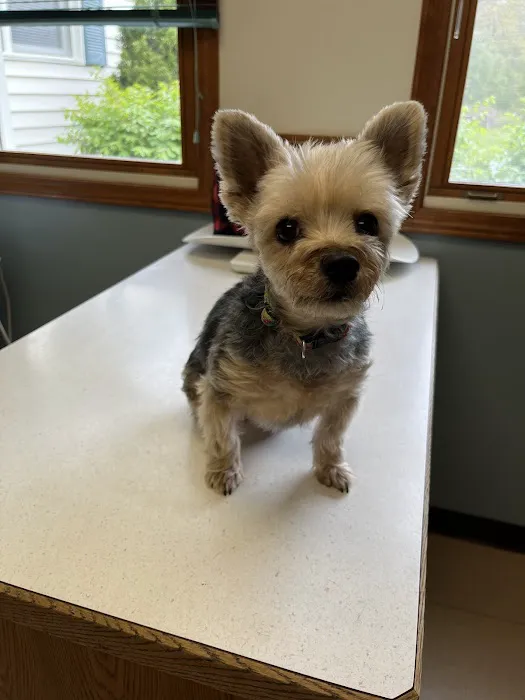 Mechanic Falls Veterinary Hospital Picture 7