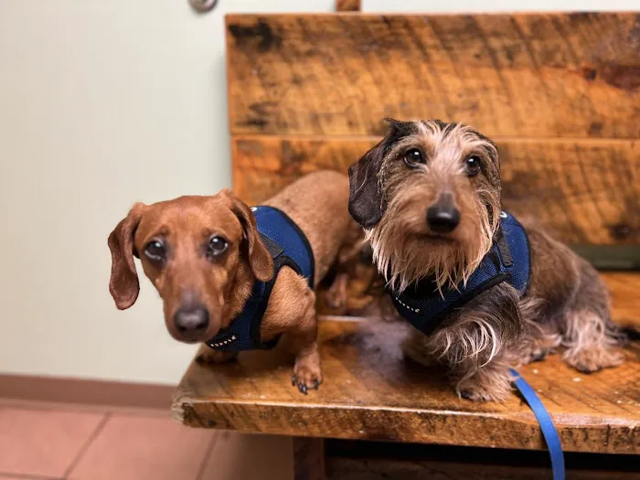 Hampstead Animal Hospital Picture 6