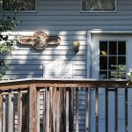 Edgefield Veterinary Hospital, LLC