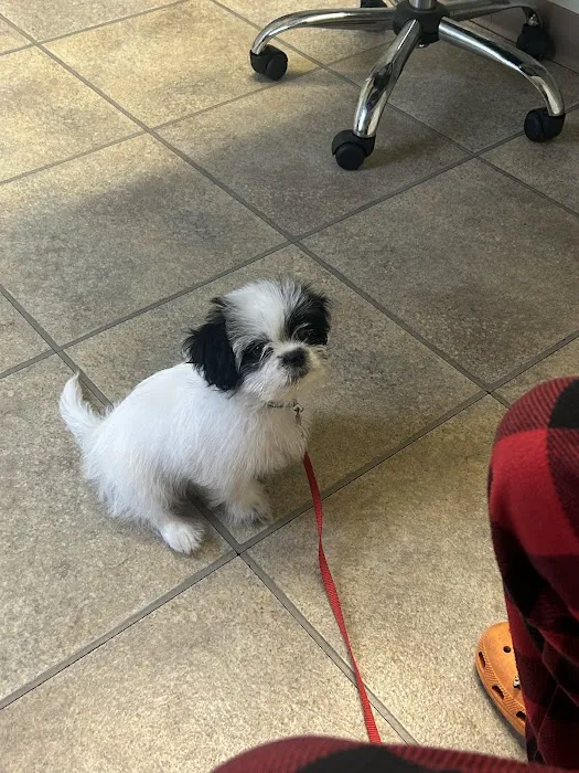 Edgefield Veterinary Hospital, LLC Picture 6