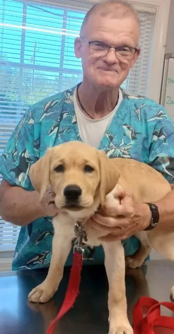 Edgefield Veterinary Hospital, LLC Picture 8