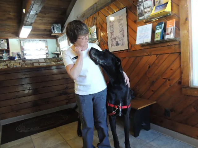 Edgefield Veterinary Hospital, LLC Picture 9