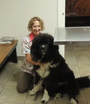 Edgefield Veterinary Hospital, LLC Picture 10