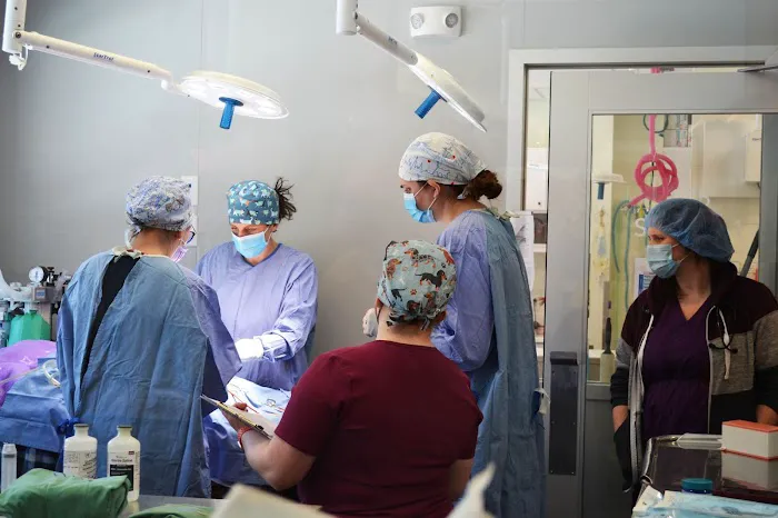 AWS Community Veterinary Clinic Picture 5