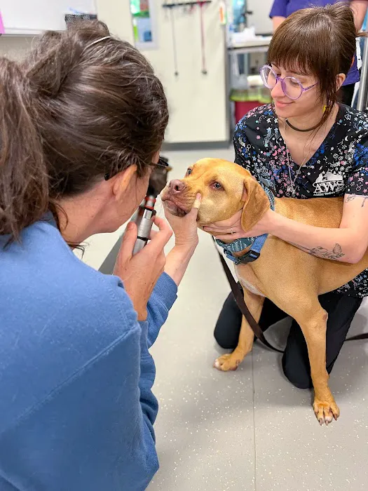 AWS Community Veterinary Clinic Picture 6