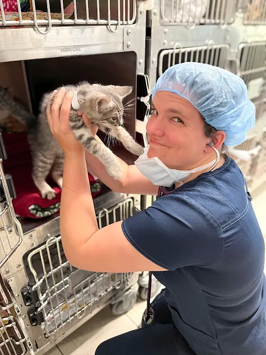 AWS Community Veterinary Clinic Picture 3